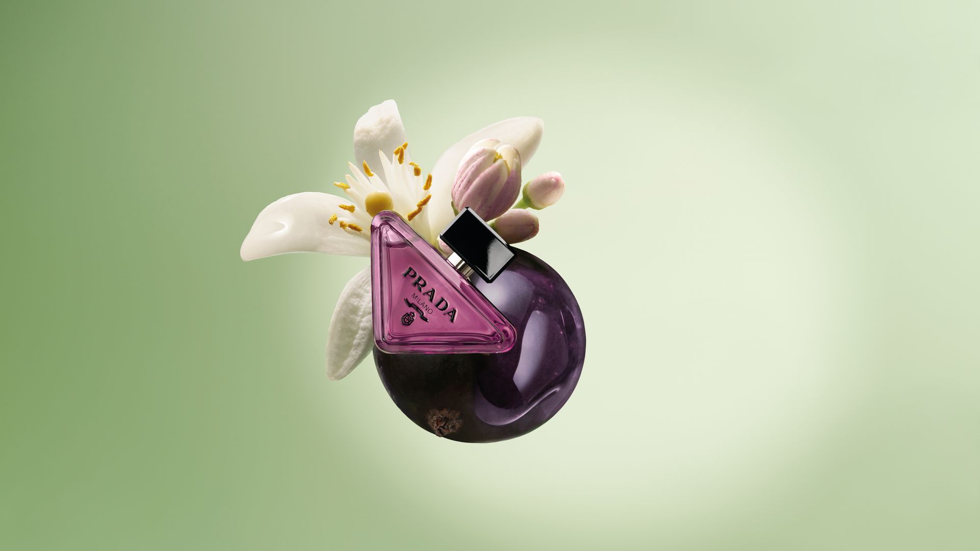 11 nuevos perfumes para la temporada de otoño: los lanzamientos que marcan el cambio de estación