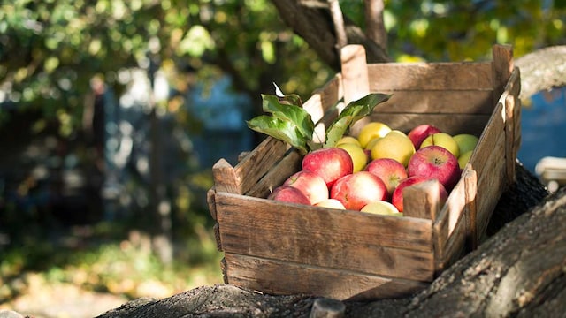 caja fruta