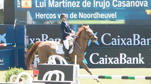 luis mtnz irujo3
