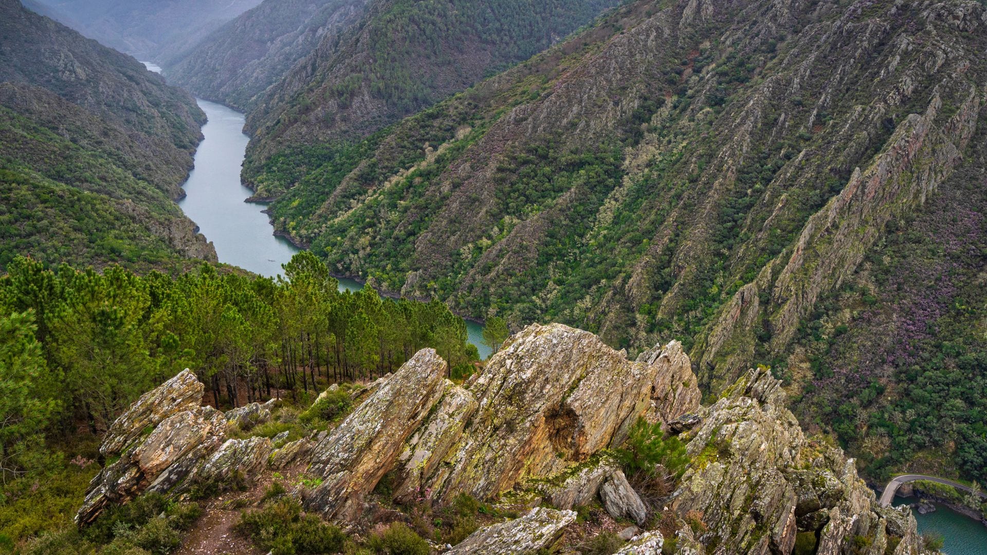 Paisaje en la Ribeira Sacra, Lugo, Galicia