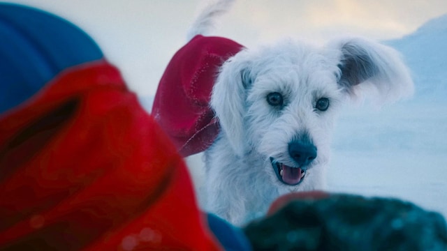 Krypto-Superman