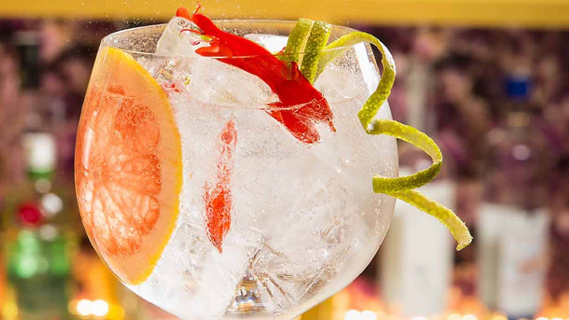 dia_gintonic_