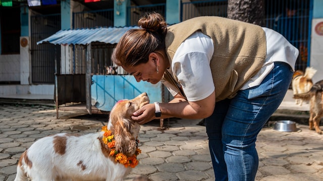 Mujer acariciando un perro