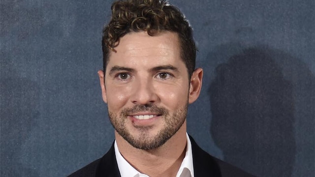 david bisbal6