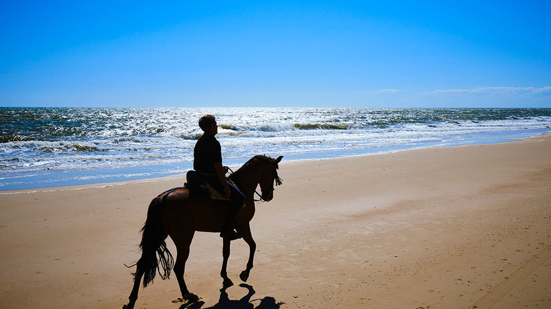 Paseos a caballo por la playa, amanecer entre la fauna y mil experiencias más en Doñana 