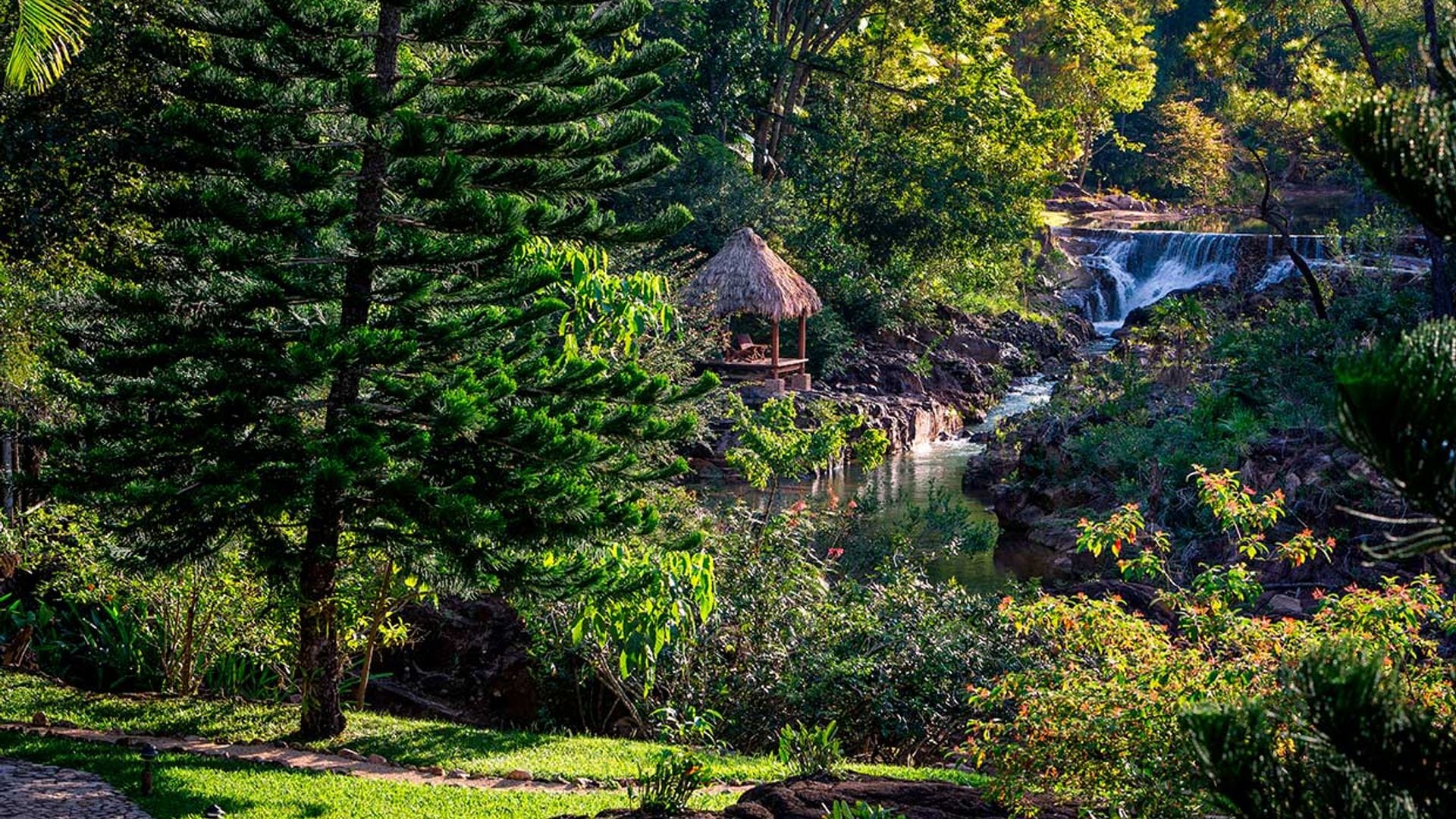 Hoteles más allá de lo ecológico
