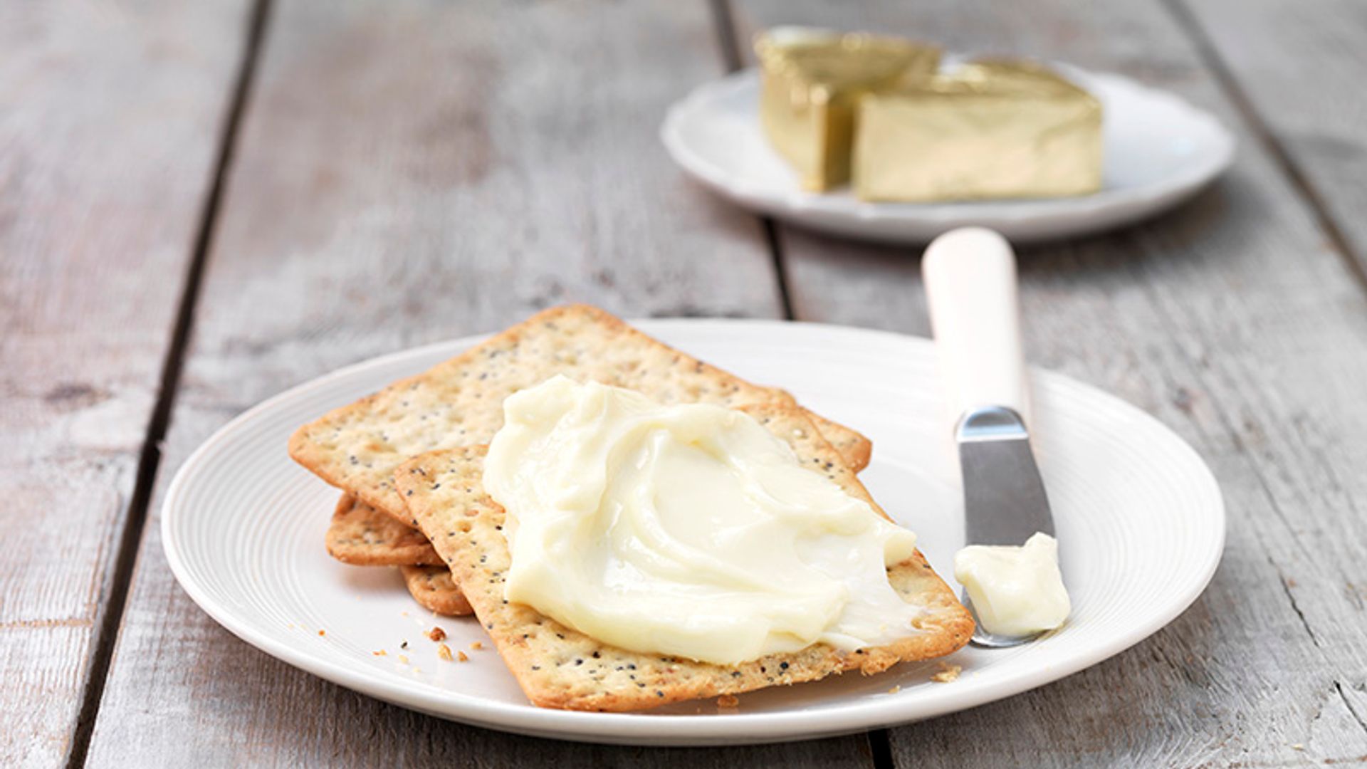 mantequilla margarina propiedades nutricionales dietas
