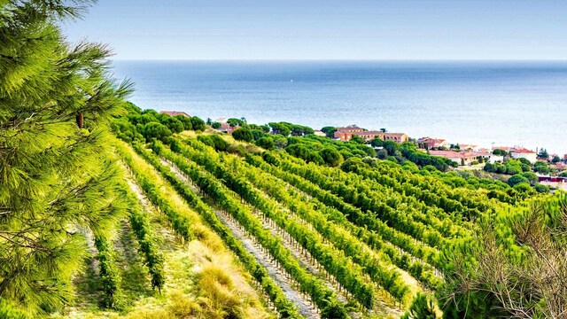 hoviajes barcelona
