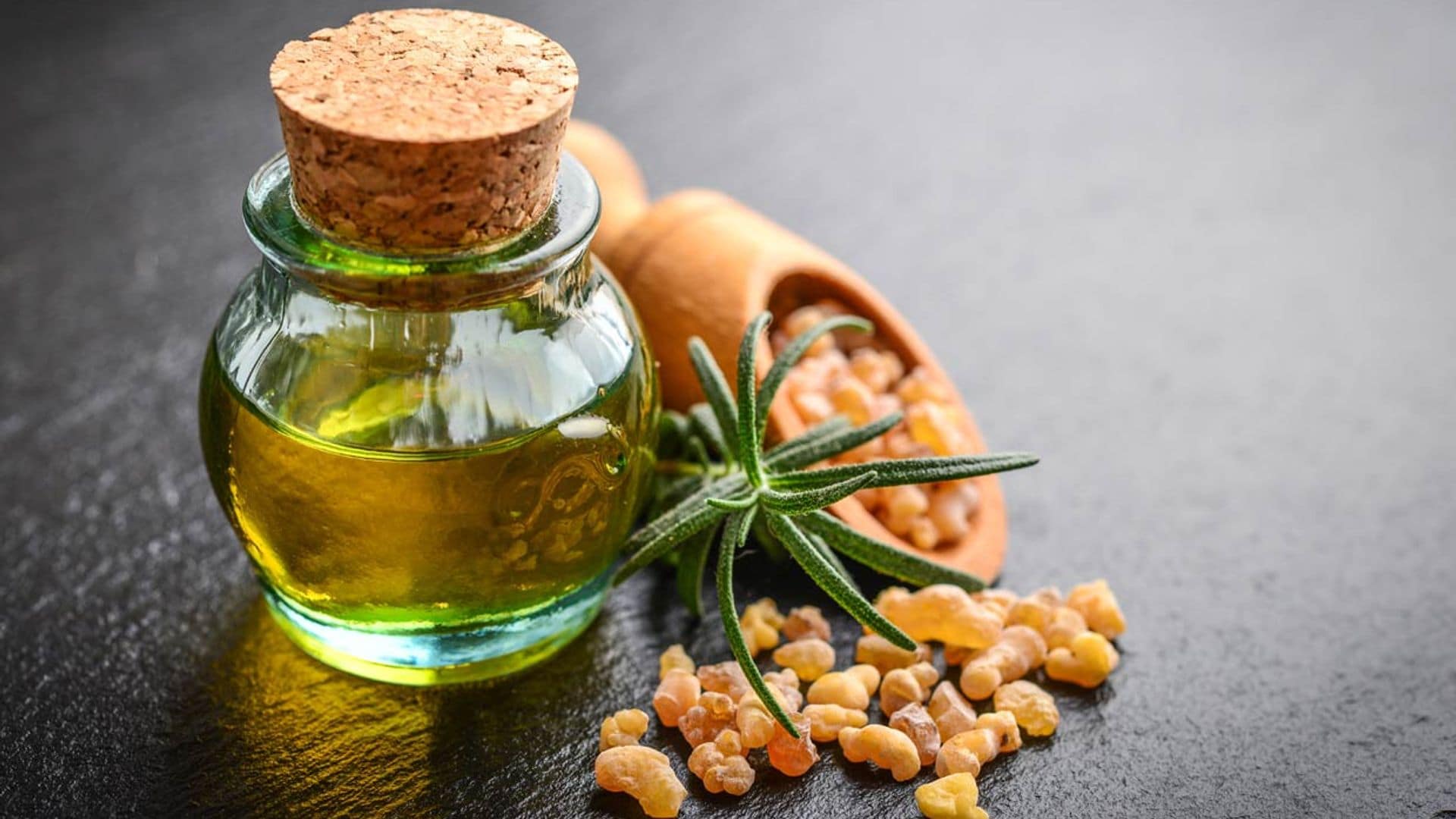 ¿Sabes cómo aprovechar las propiedades beneficiosas de la boswellia?