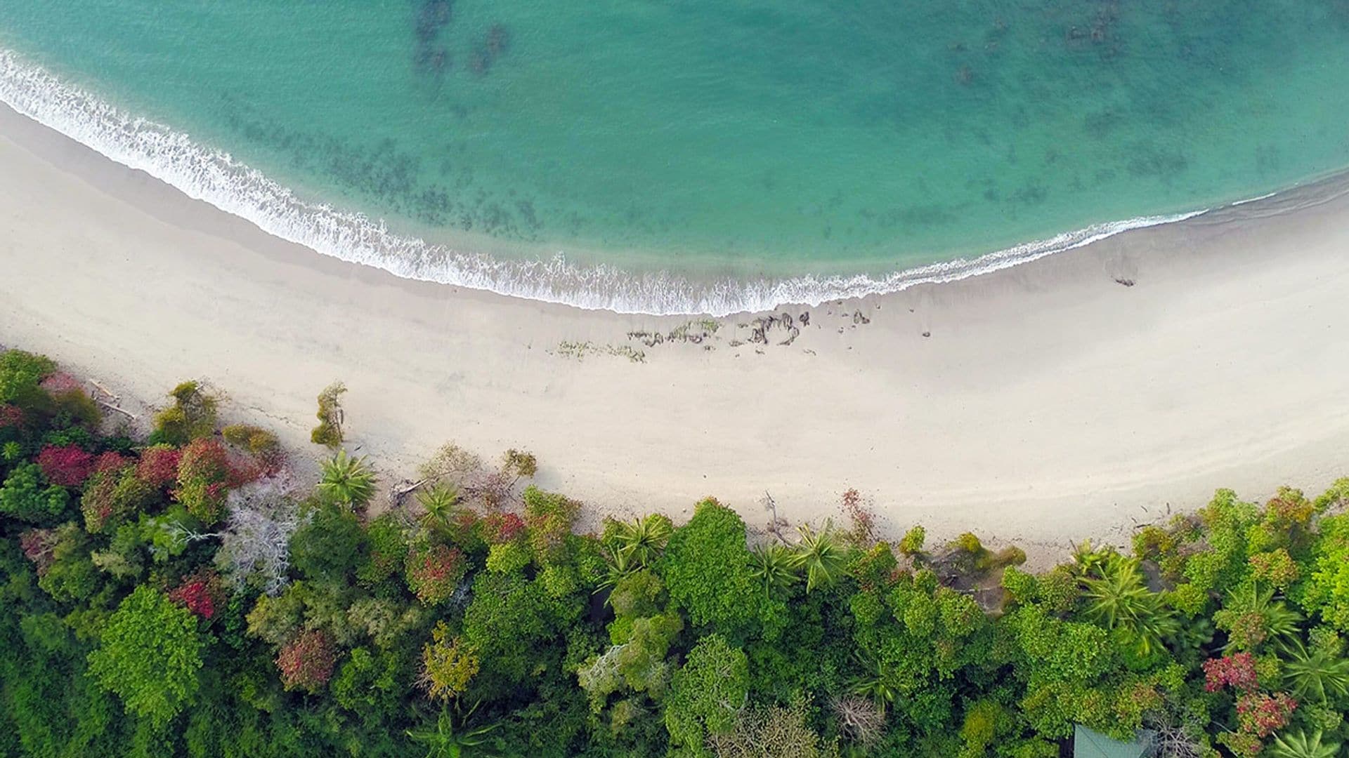 Cinco destinos sostenibles para celebrar la apertura de fronteras en Costa Rica
