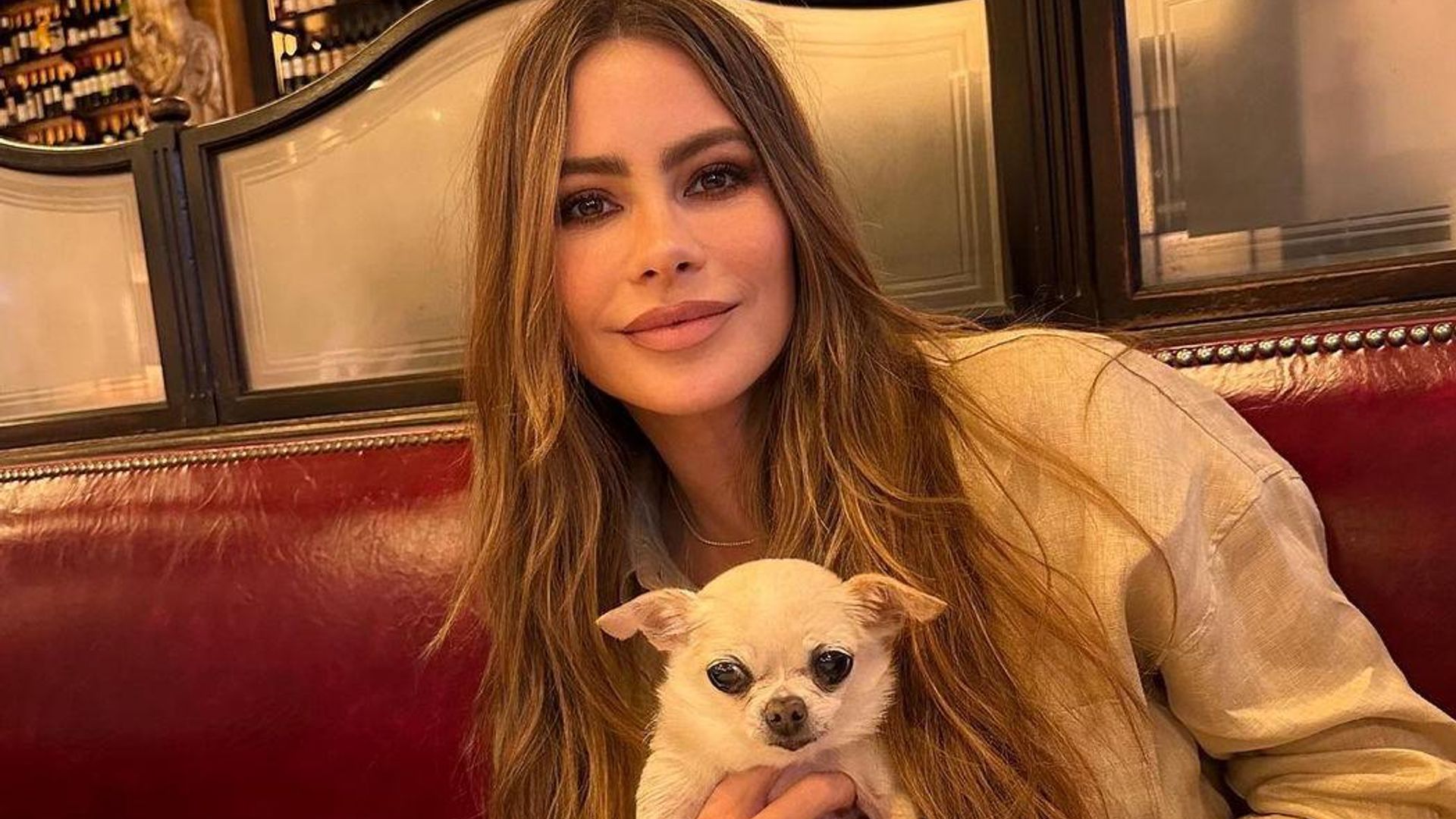 Sofía Vergara toma drástica decisión sobre la custodia de su perro ‘Bubbles’