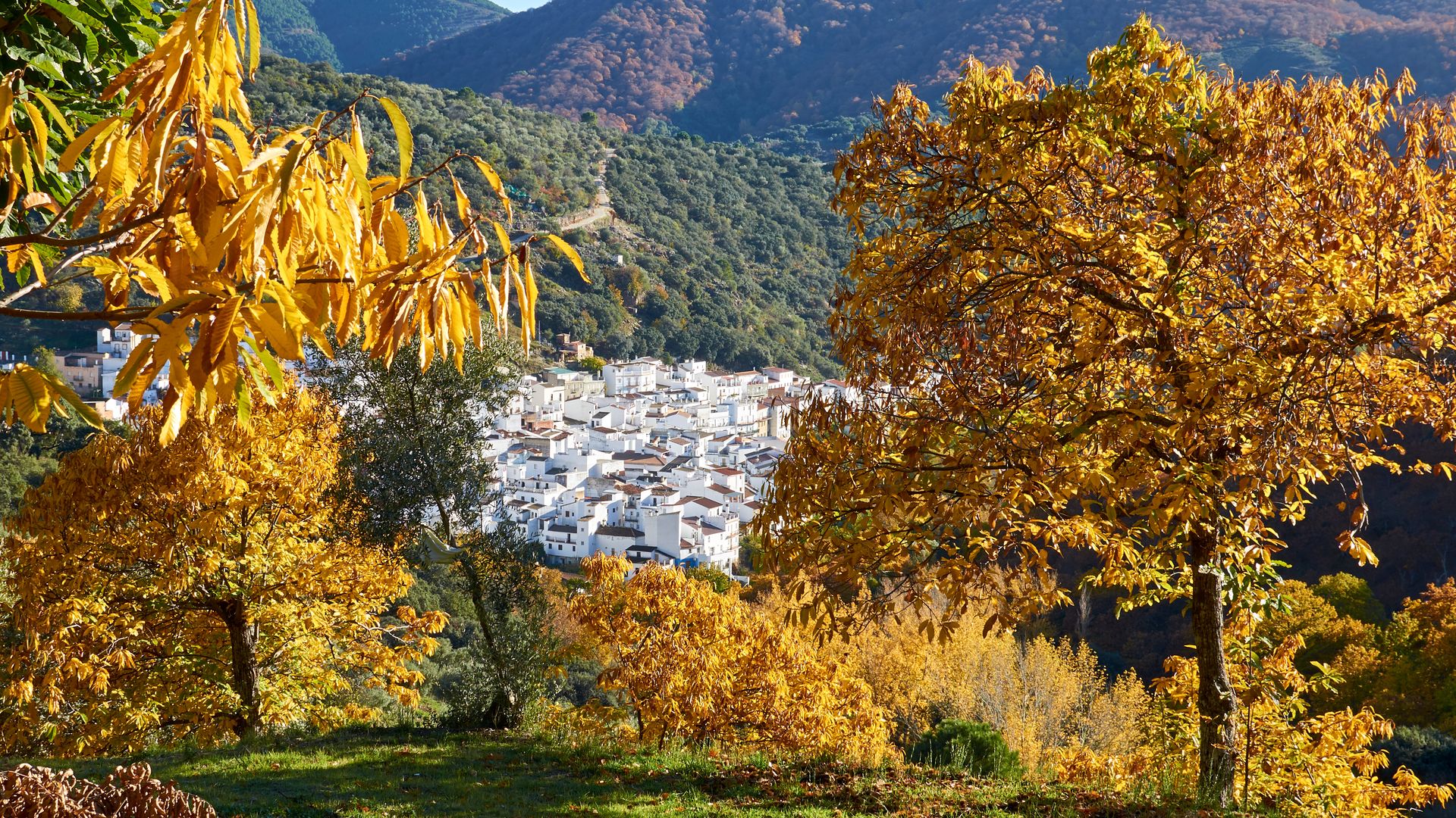 Igualeja, en el valle del Genal, Málaga