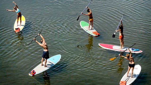 sup paddle