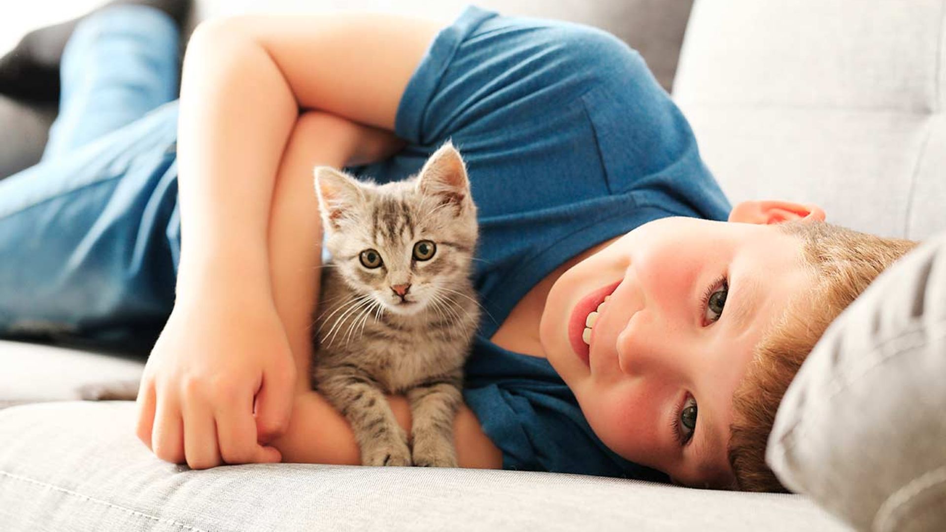 c3619b8f962f consejos adaptar hijo vivir gato t