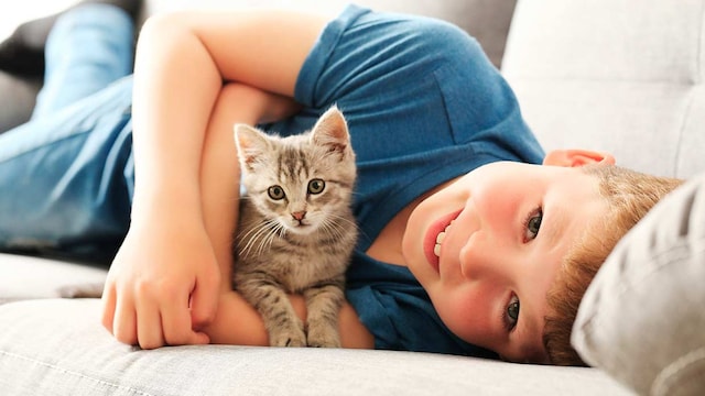 consejos adaptar hijo vivir gato