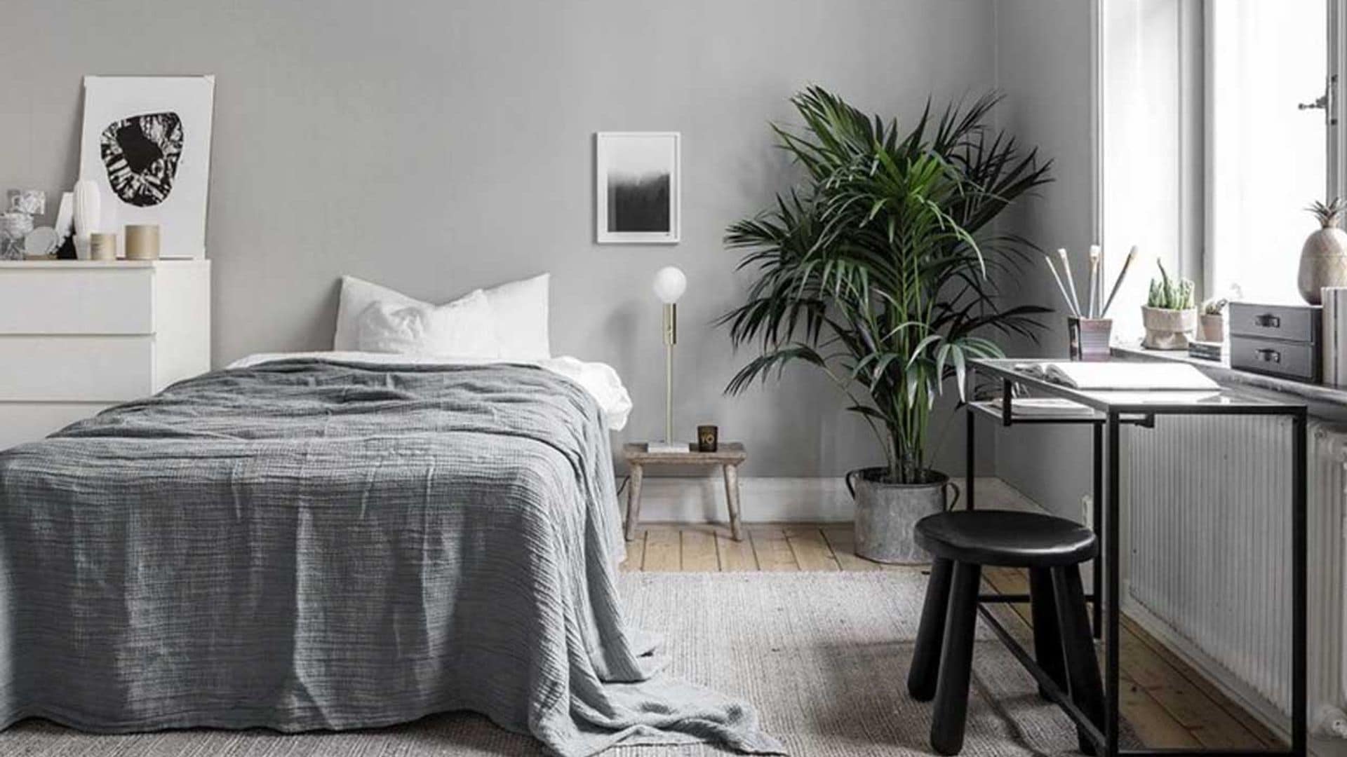 Ventajas de decorar una habitación con plantas