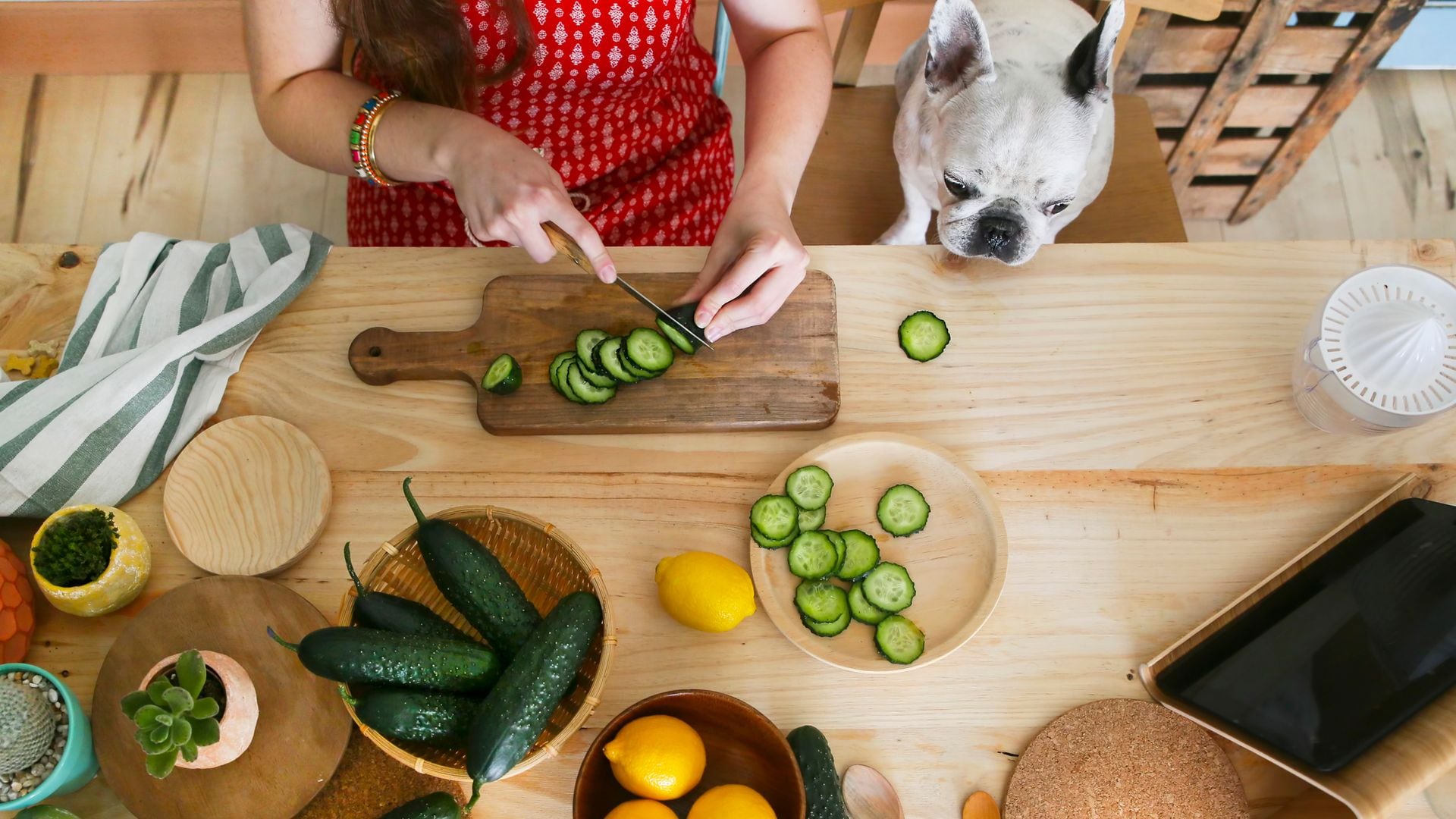 Razones por las que deberías incluir el pepino en tu dieta este verano