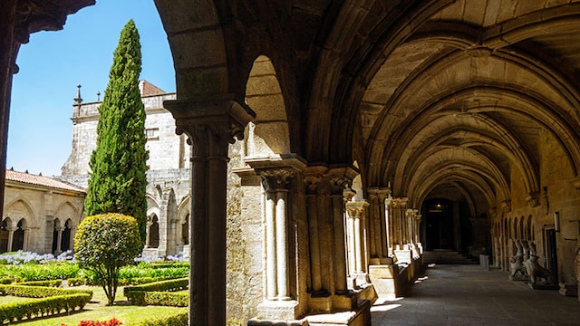 catedral tui galicia