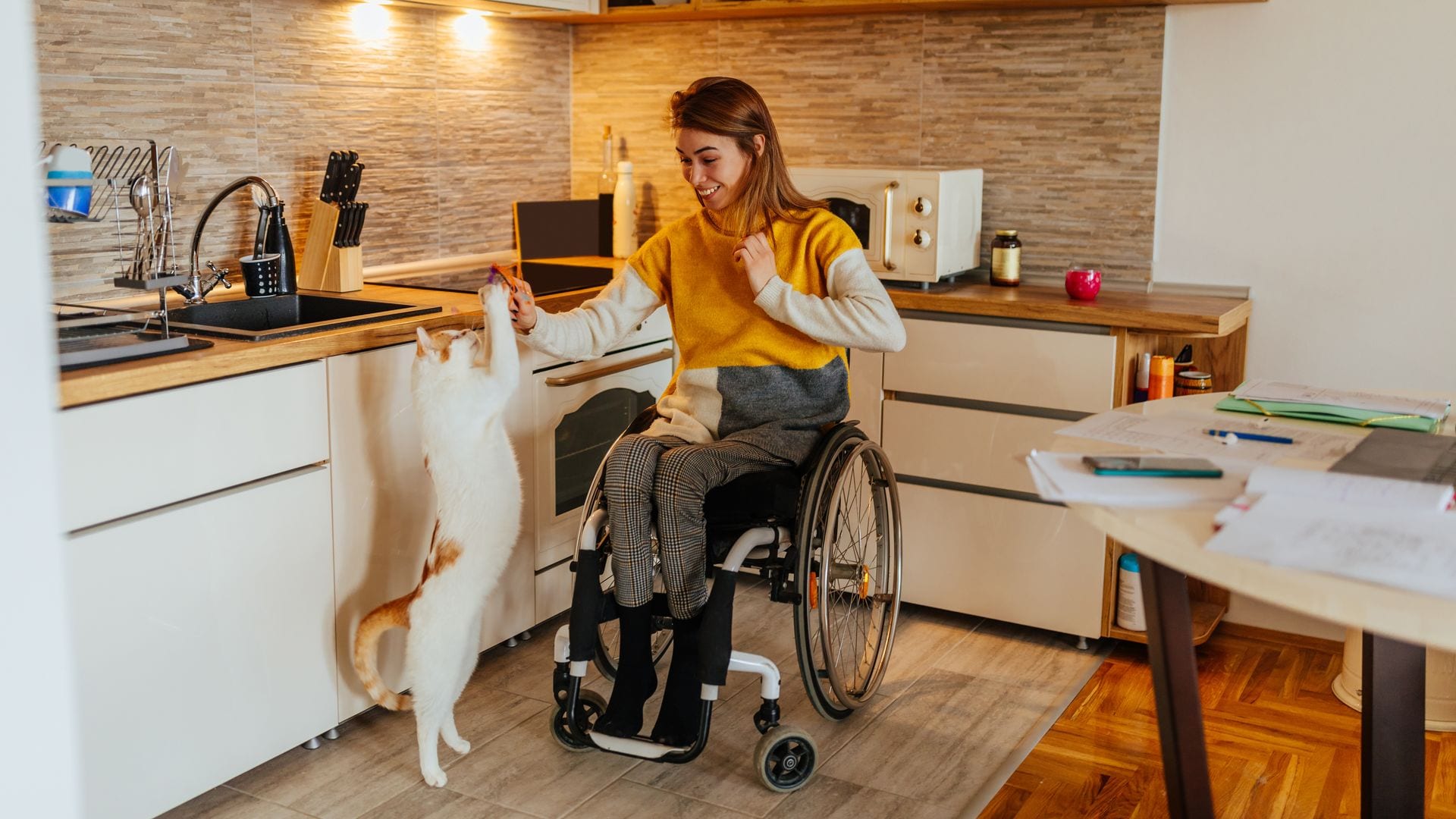 mujer en una silla de ruedas, jugando con su gato
