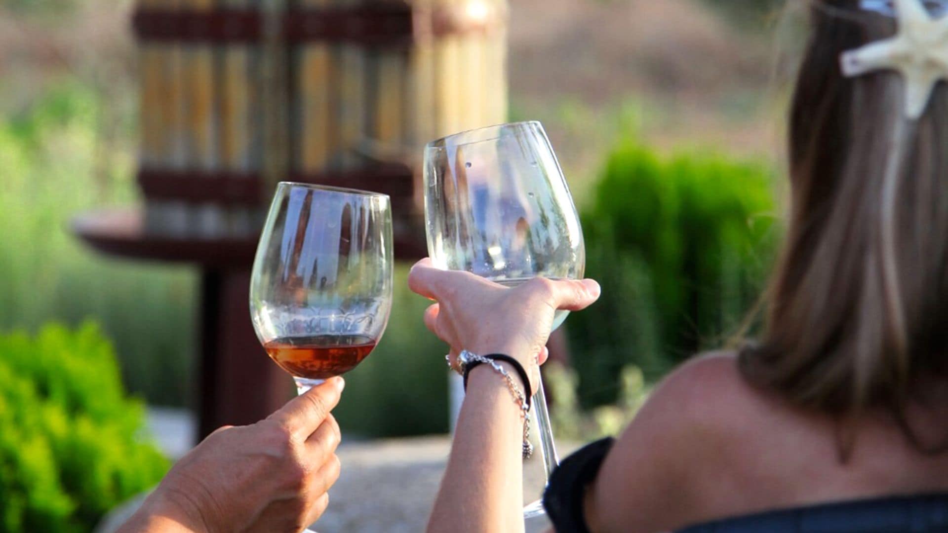 Las mejores experiencias en bodegas cerca de Madrid: desde actividades de vendimia a pícnic entre viñas