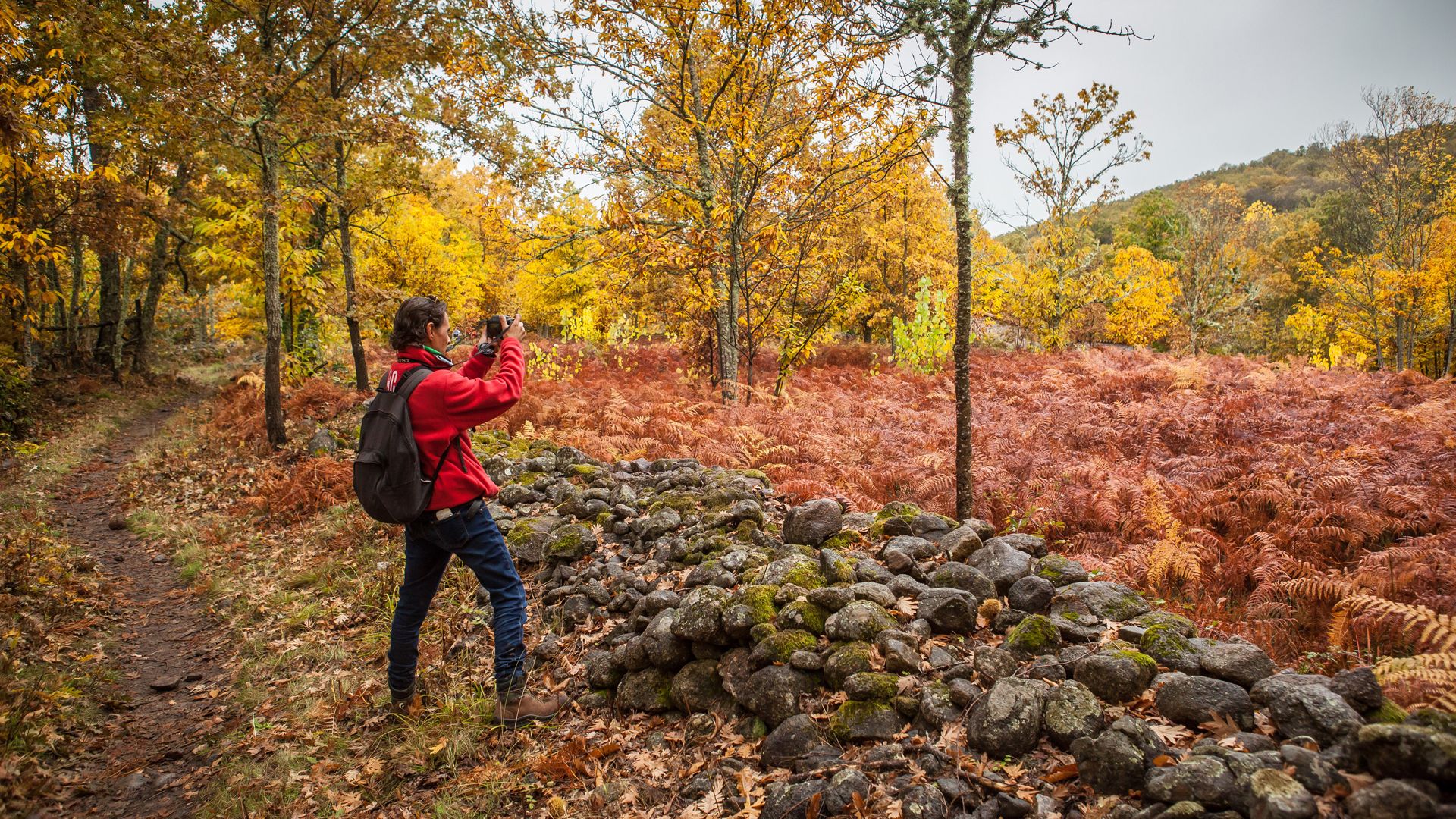 Tenemos los planes que estabas buscando: paseos por el bosque, relax en un balneario, citas con el arte y las fiestas populares más animadas