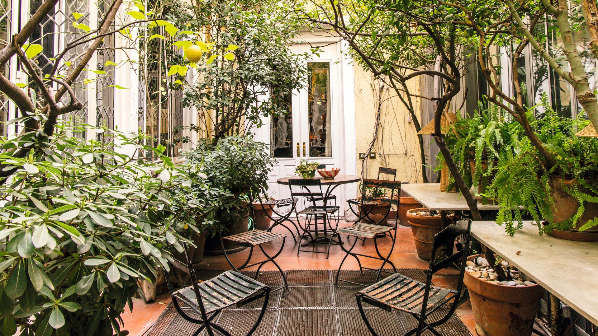 El patio de la casa en medio del palacete con limoneros, arbustos de camelias y un nido de mirlos
