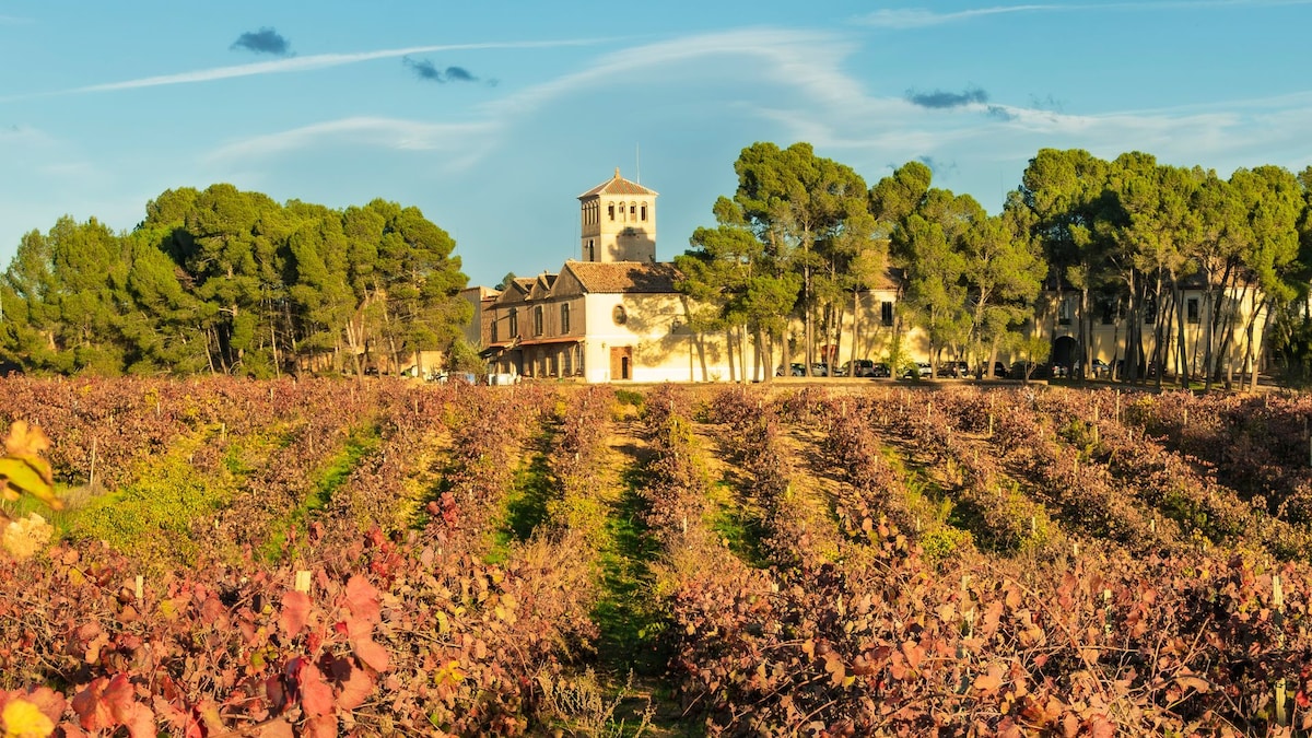 La localidad valenciana donde nació Pablo Motos y que ha sido elegida como ciudad Española del Vino 2026