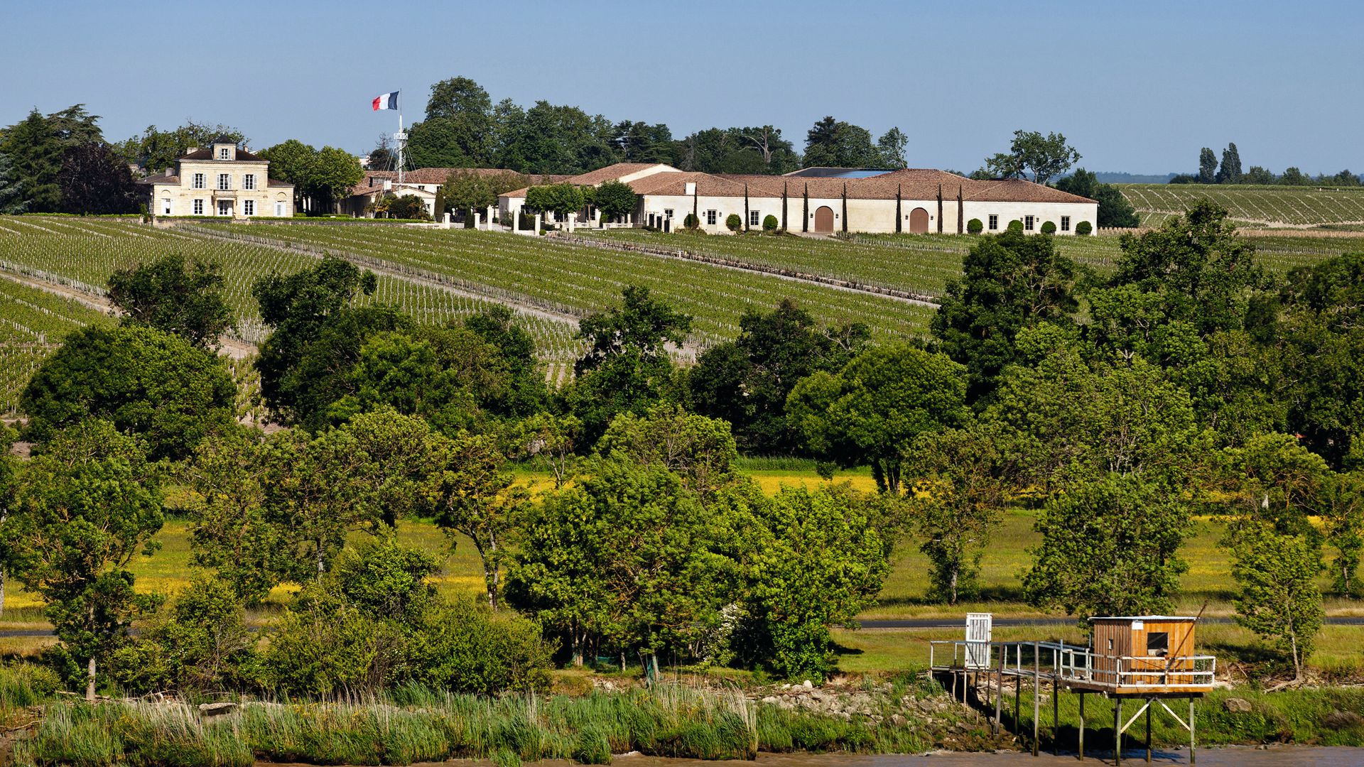 Jardines de la entrada del Château Montrose de Charlotte Bouygues