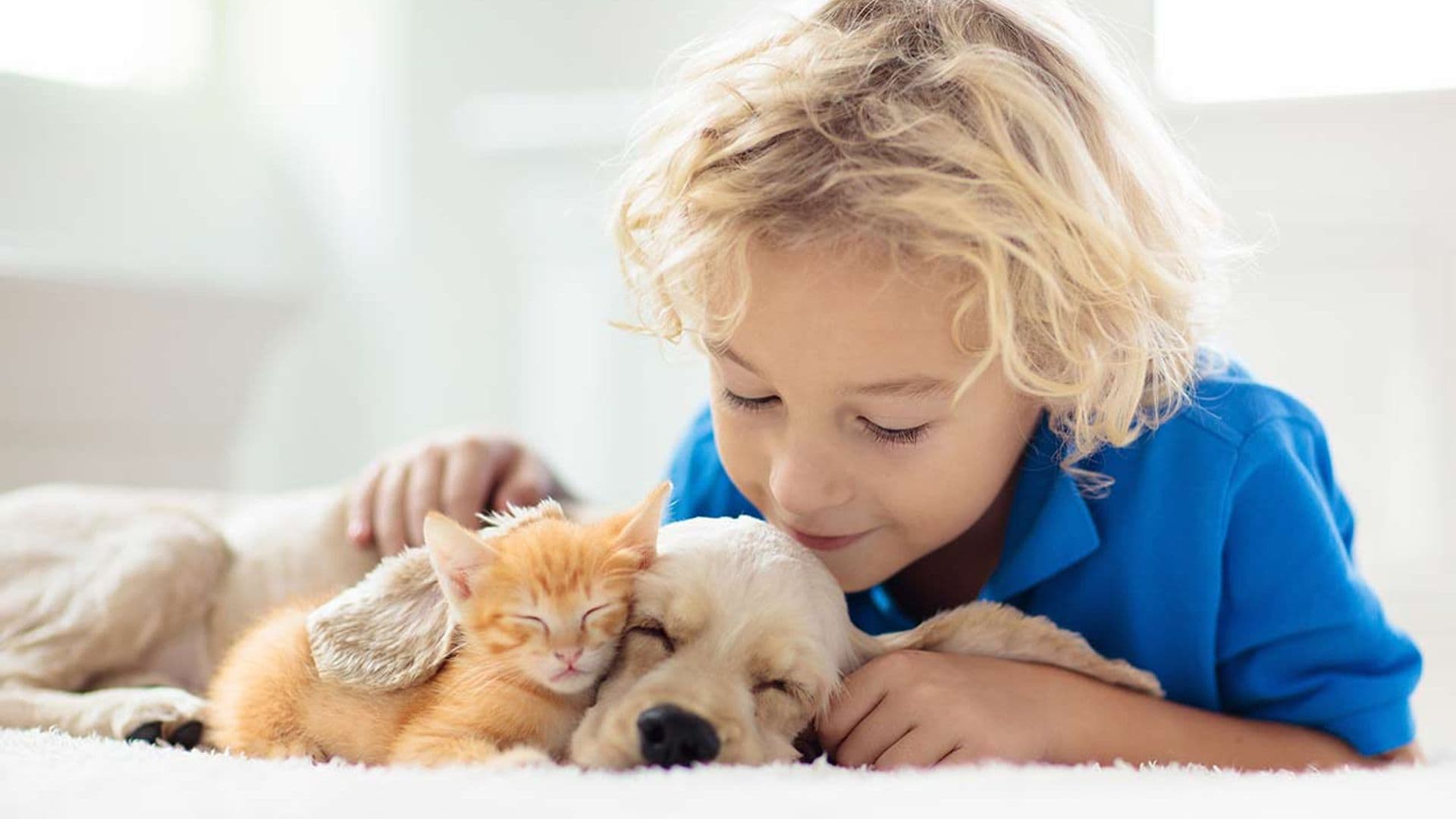 ¿Qué tipo de mascota es más recomendable para los niños?