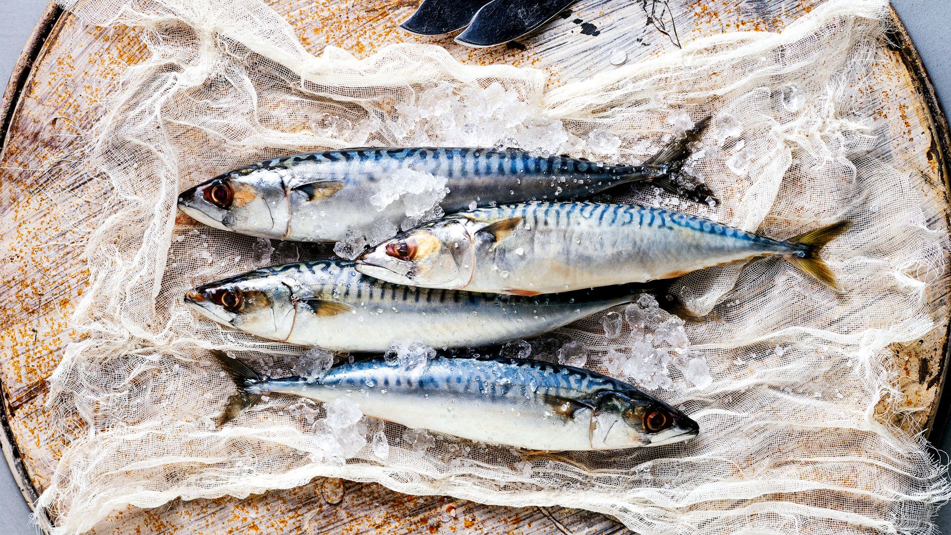 Caballas, pescado azul de temporada