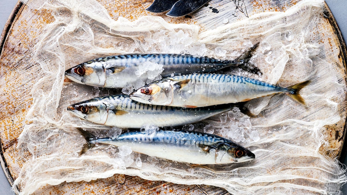 Estos dos pescados son muy humildes, pero con gran valor gastronómico: recetas e ideas para disfrutarlos