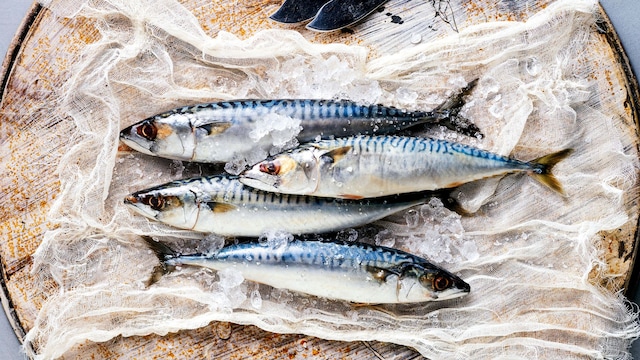 Caballas, pescado azul de temporada