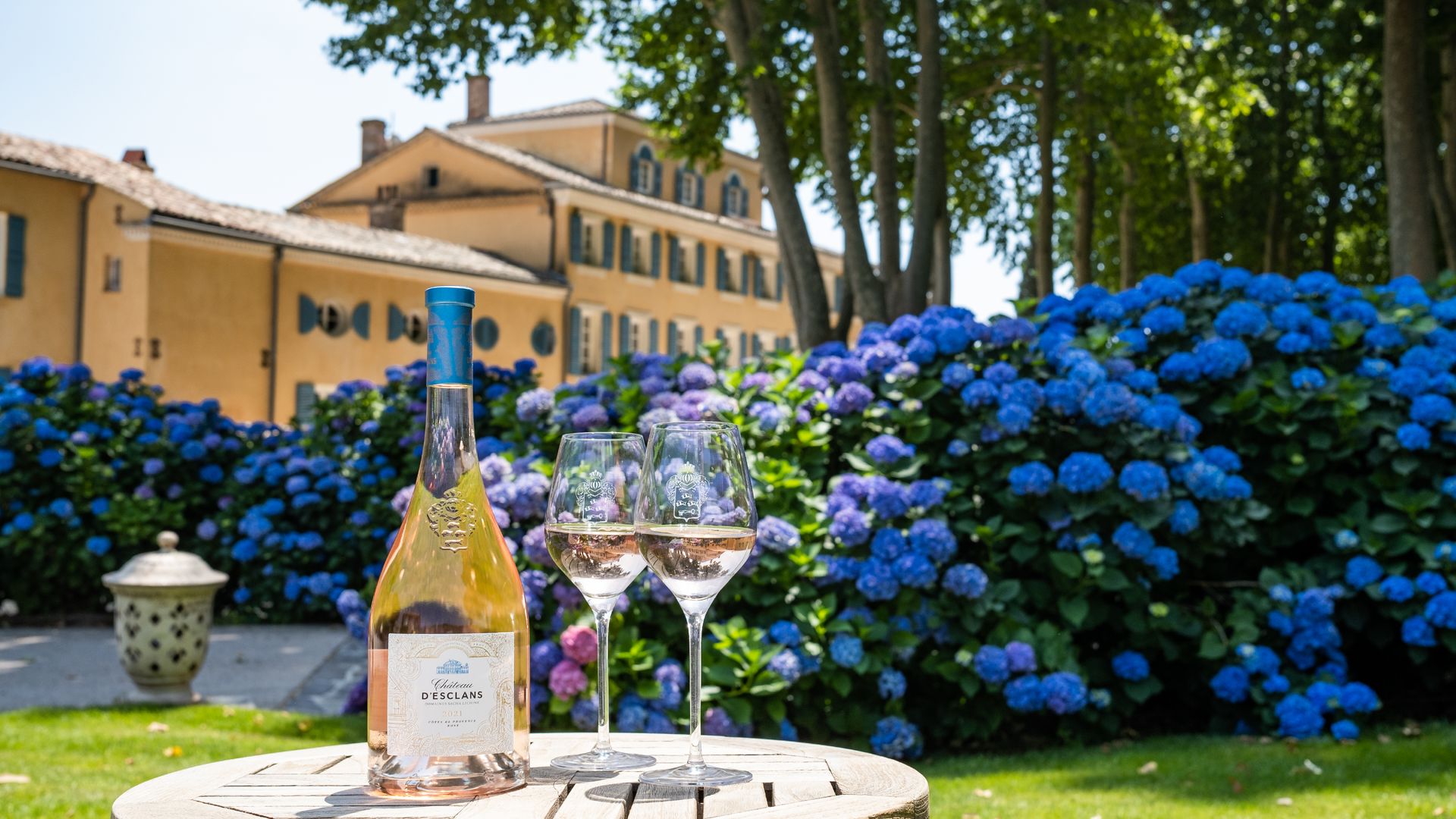 La Provenza en una copa: así es el vino rosado que conquista el mundo