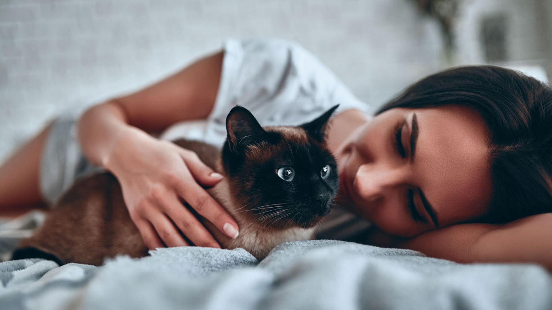 Este es el mejor método para educar a un gato sin regañarle ni castigarle