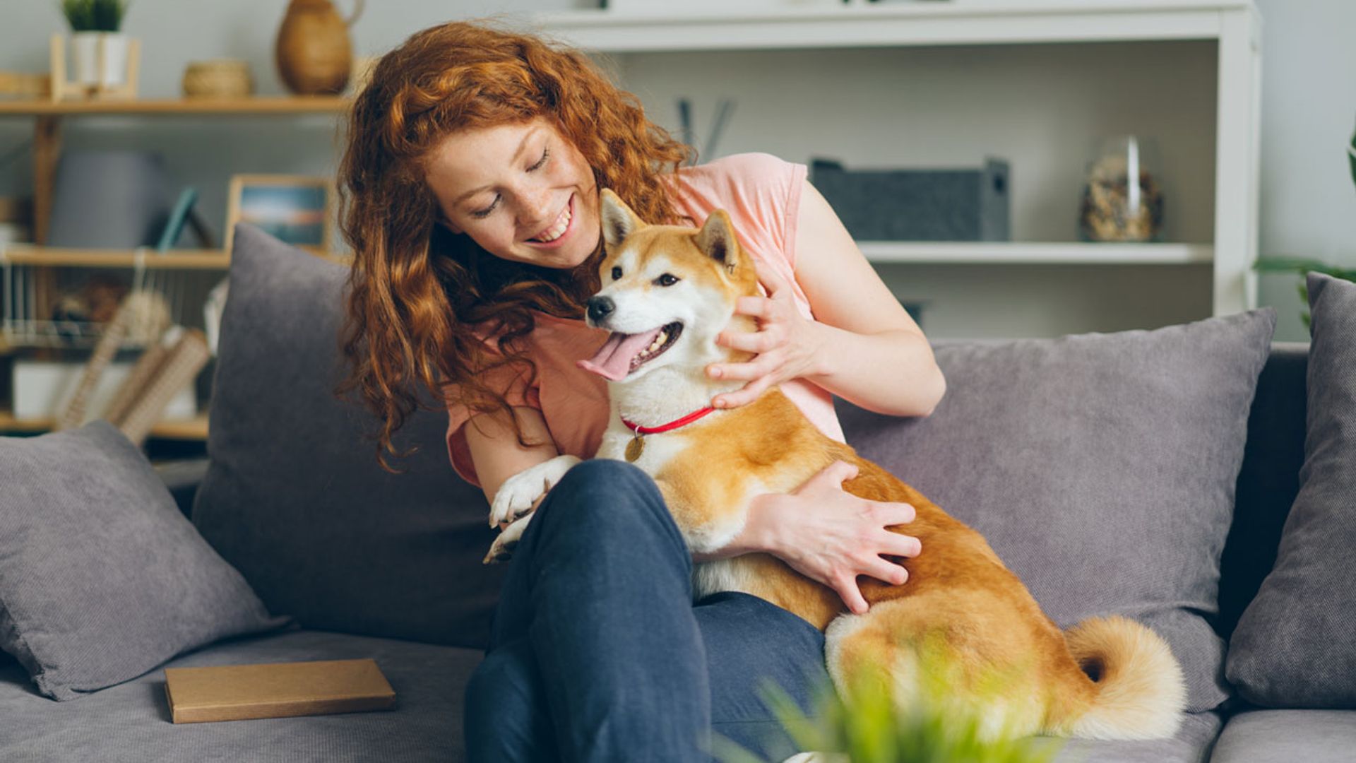 Las razas de perro que mejor llevarán el final del confinamiento