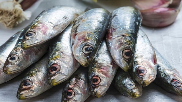 pescados azules propiedades nutricionales