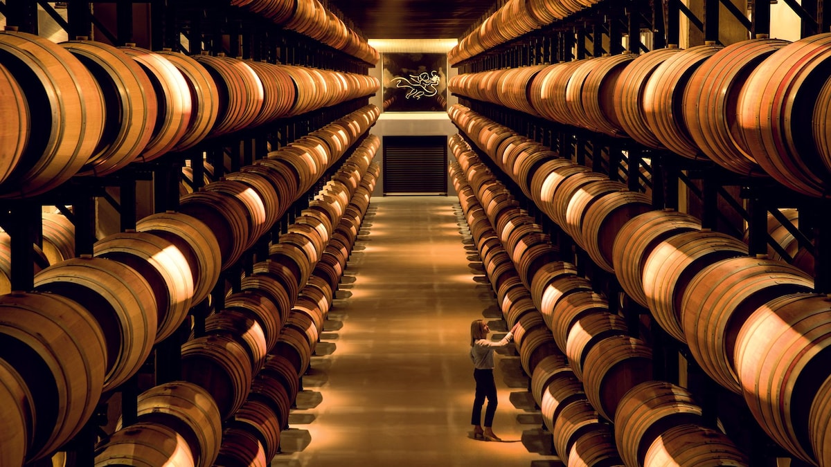 Escapadas entre viñas a menos de dos horas de Madrid: spas de vino, paseos por viñedos, rutas a caballos y hoteles únicos