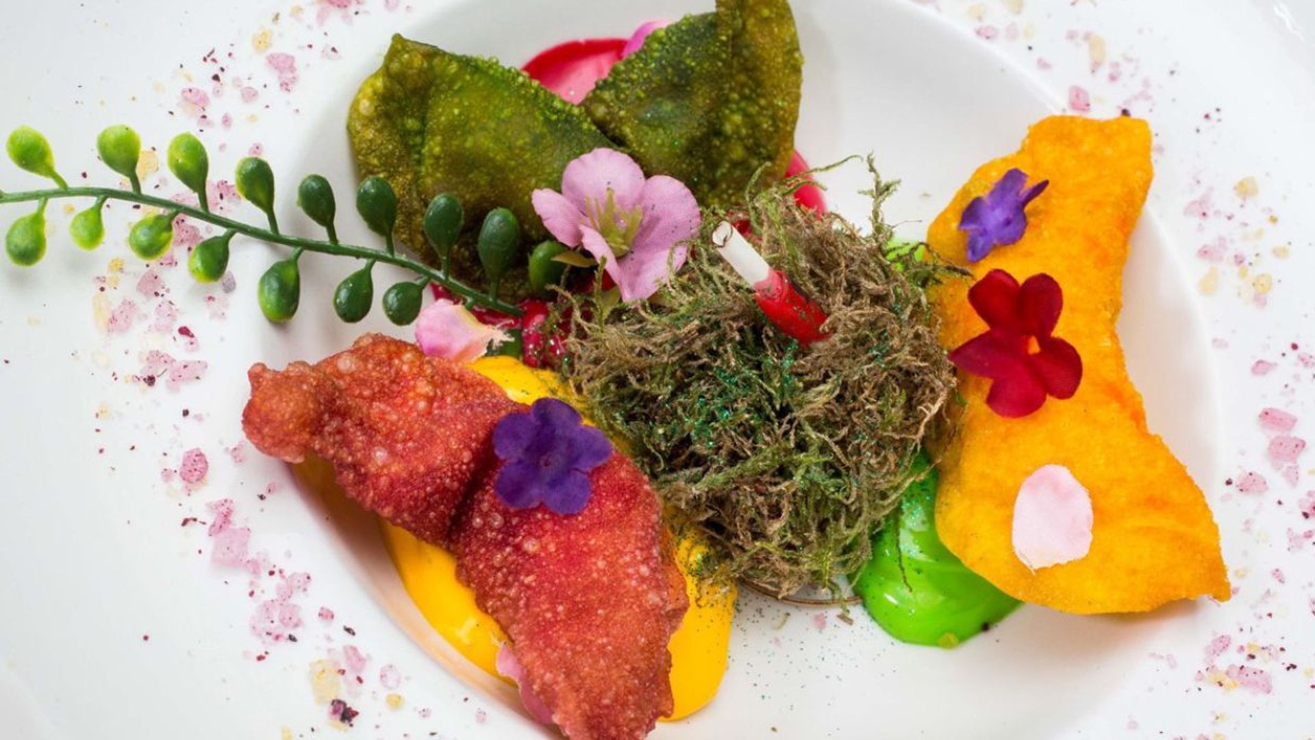 De tapas (micológicas) por Soria y otros planes seteros