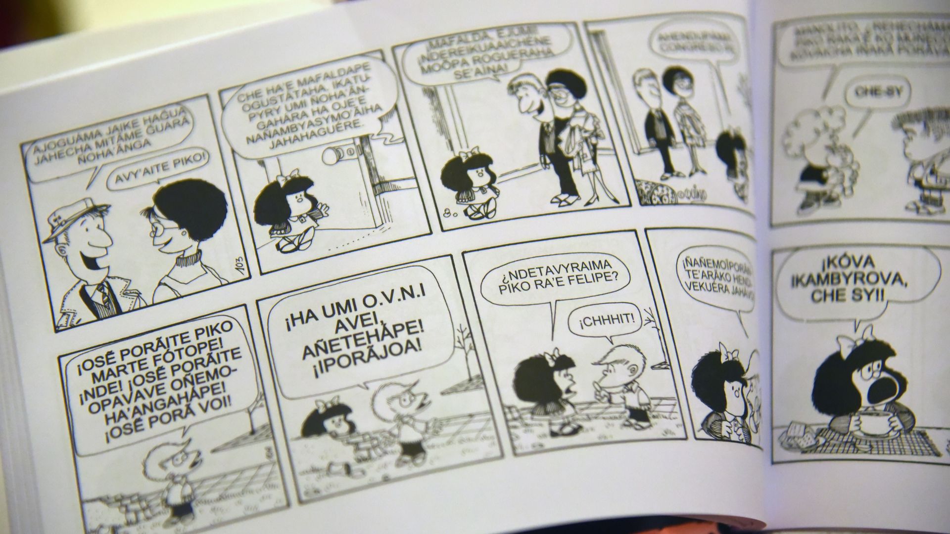 Dado el éxito mundial de Mafalda el cómic ha sido publicado en diferentes países traducidos en diferentes idiomas