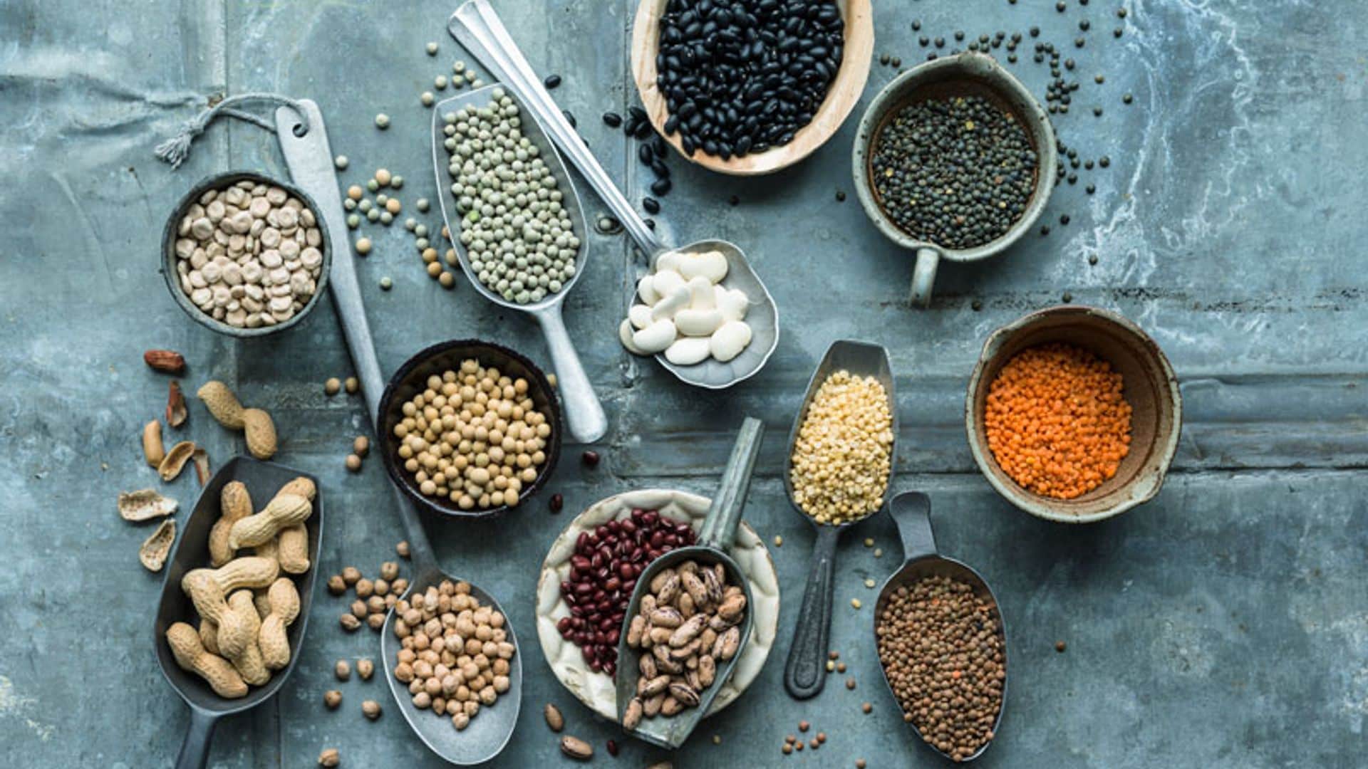 portada_flora_instestinal