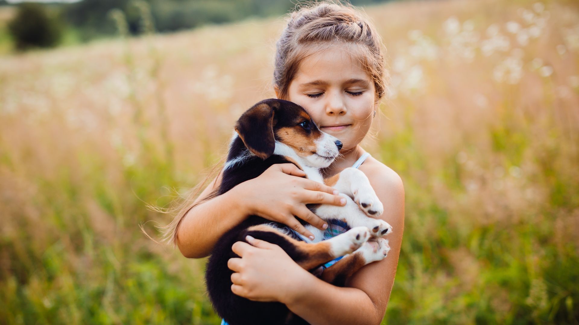 4 consejos para dar la bienvenida a tu gatito o cachorro este verano