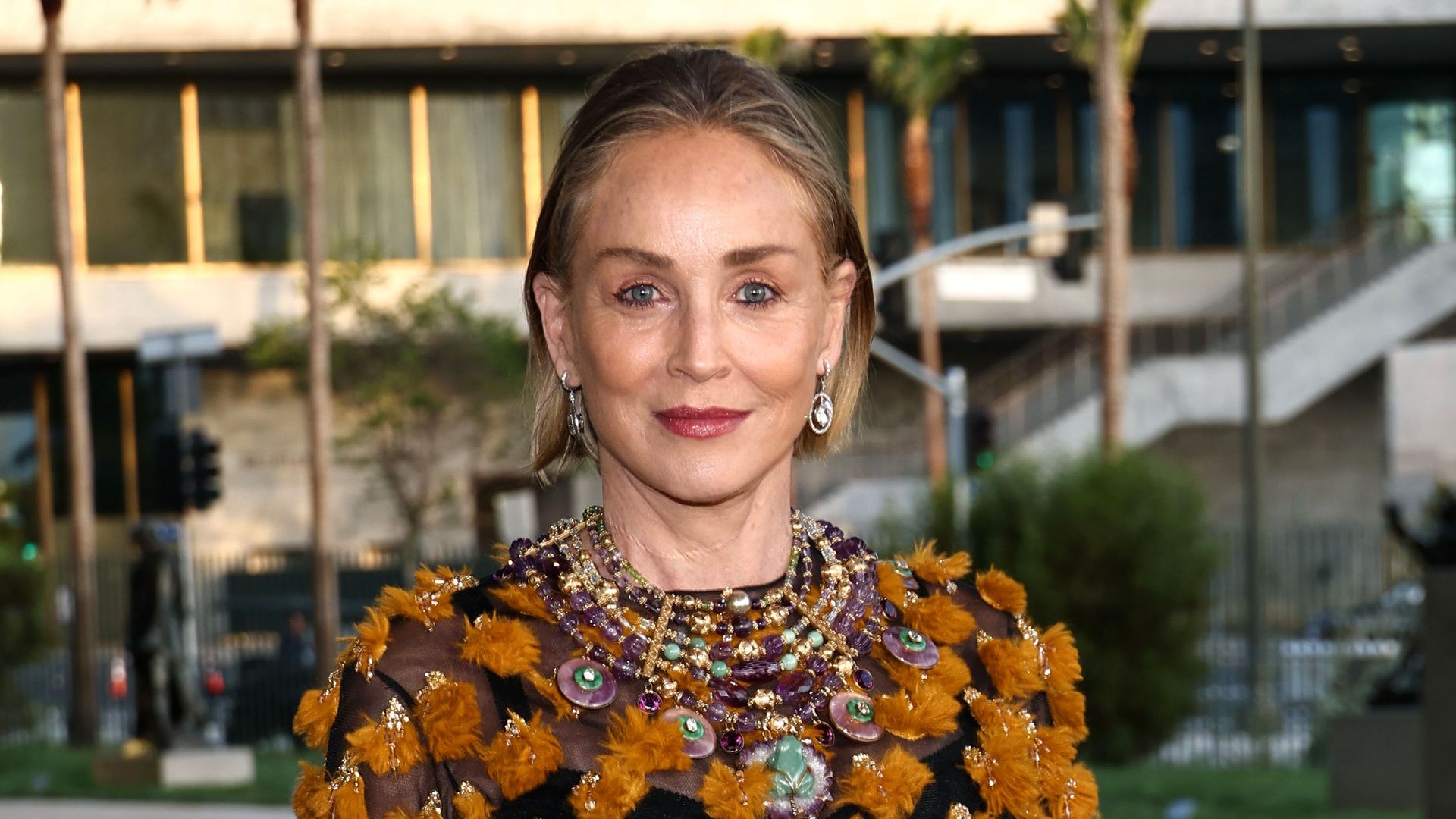 Sharon Stone sufrió en 2001 una grave hemorragia cerebral que se prolongó durante nueve días y, según ha contado, los médicos le dieron solo un 1% de posibilidades de sobrevivir