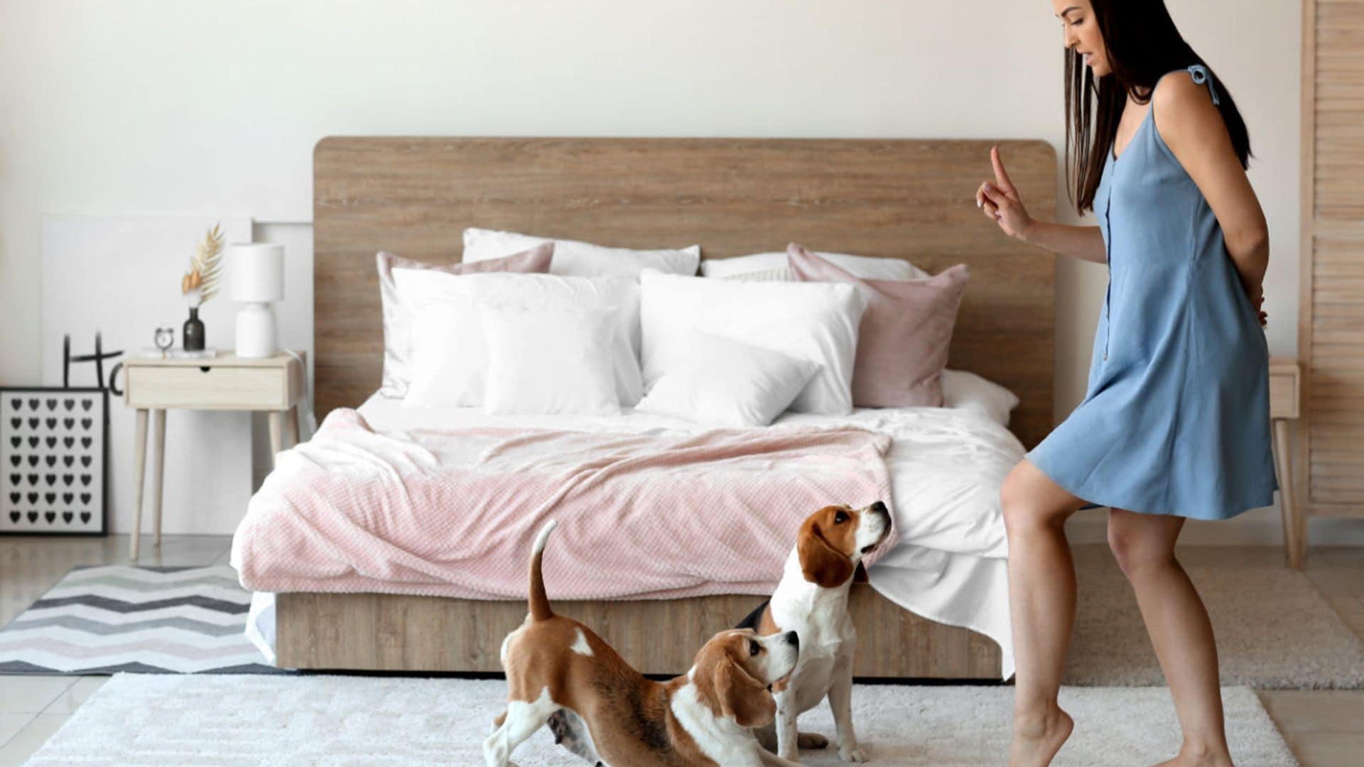 ¿Cuáles son las razones por las que mi perro no me hace caso?