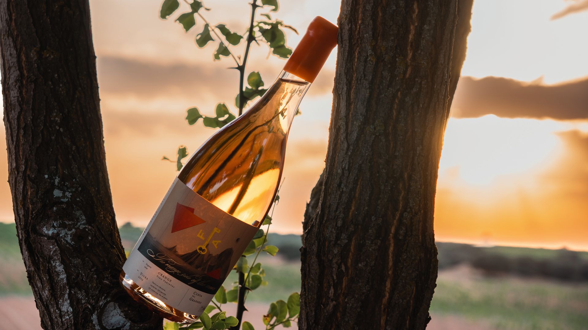 FINCA ANTIGUA en La Mancha