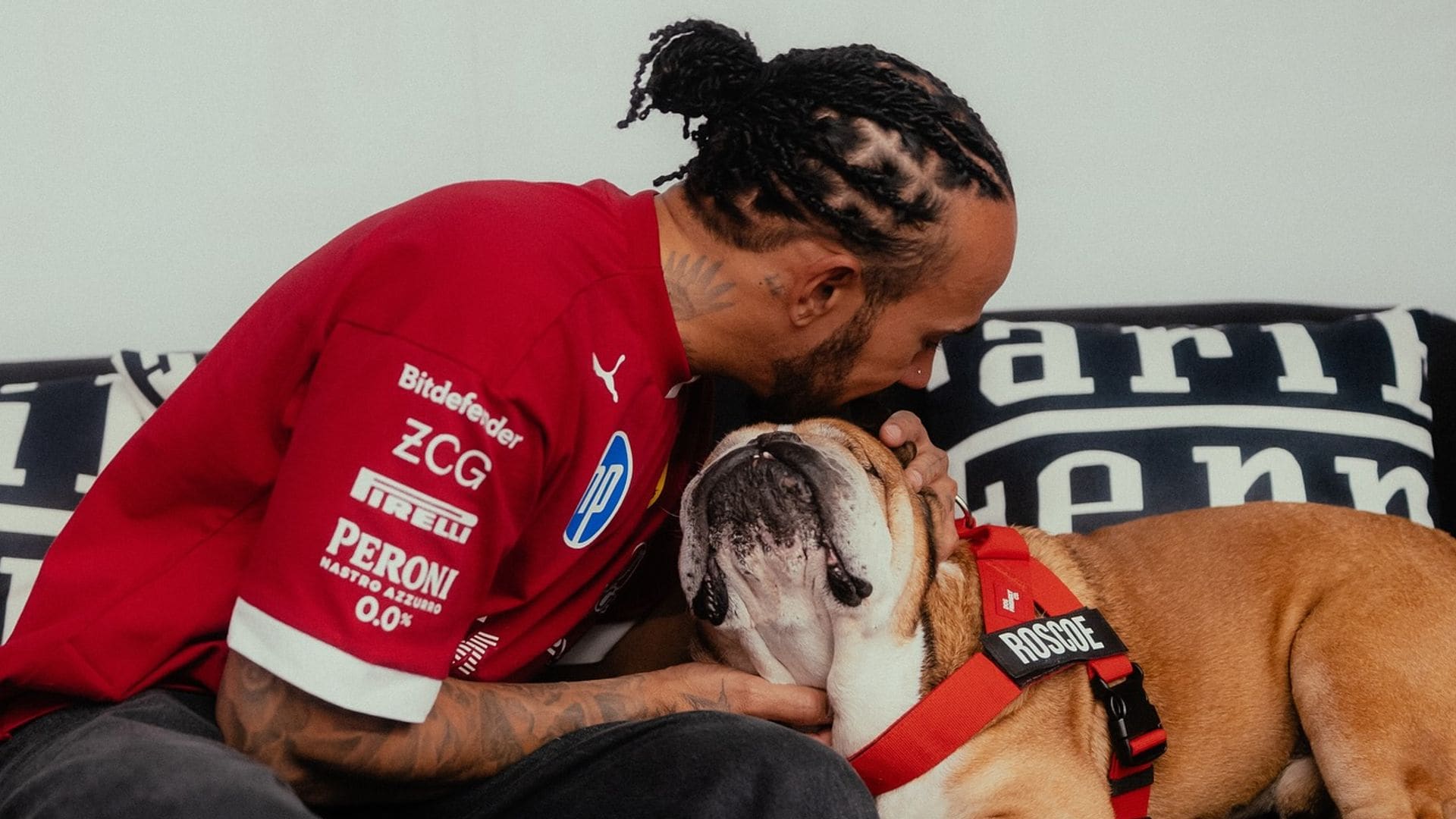 Lewis Hamilton y su perrito bulldog Roscoe.