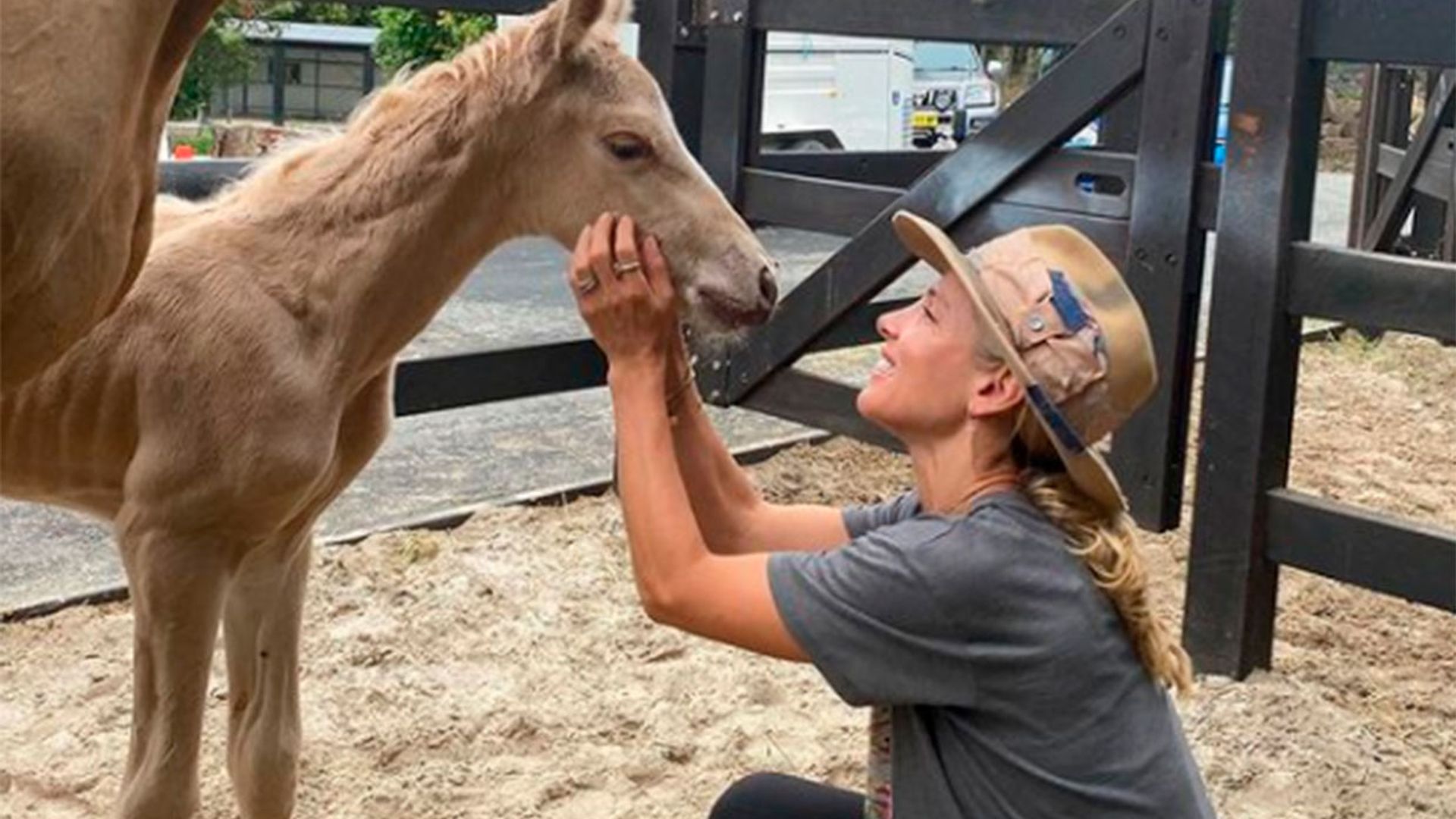 Elsa Pataky muestra, emocionada, su experiencia más 'increíble': ayudar a nacer a un potro