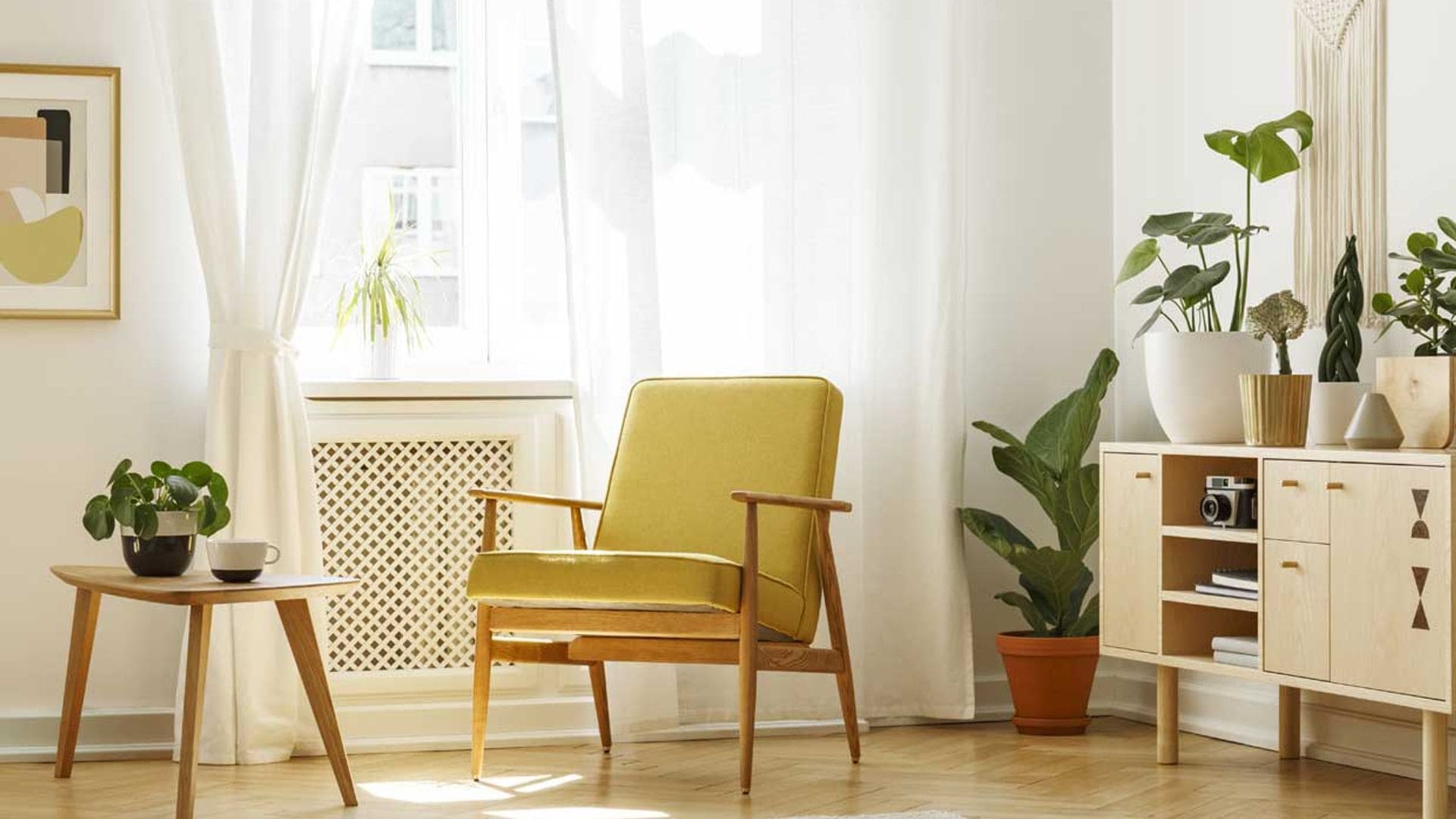 Aprende a decorar con plantas espacios interiores