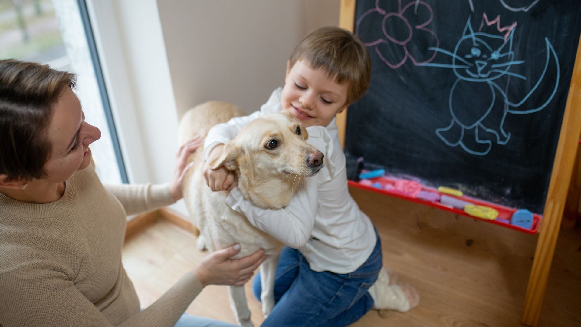 Así ayudan los perros a los niños con autismo: la terapia que mejora su día a día