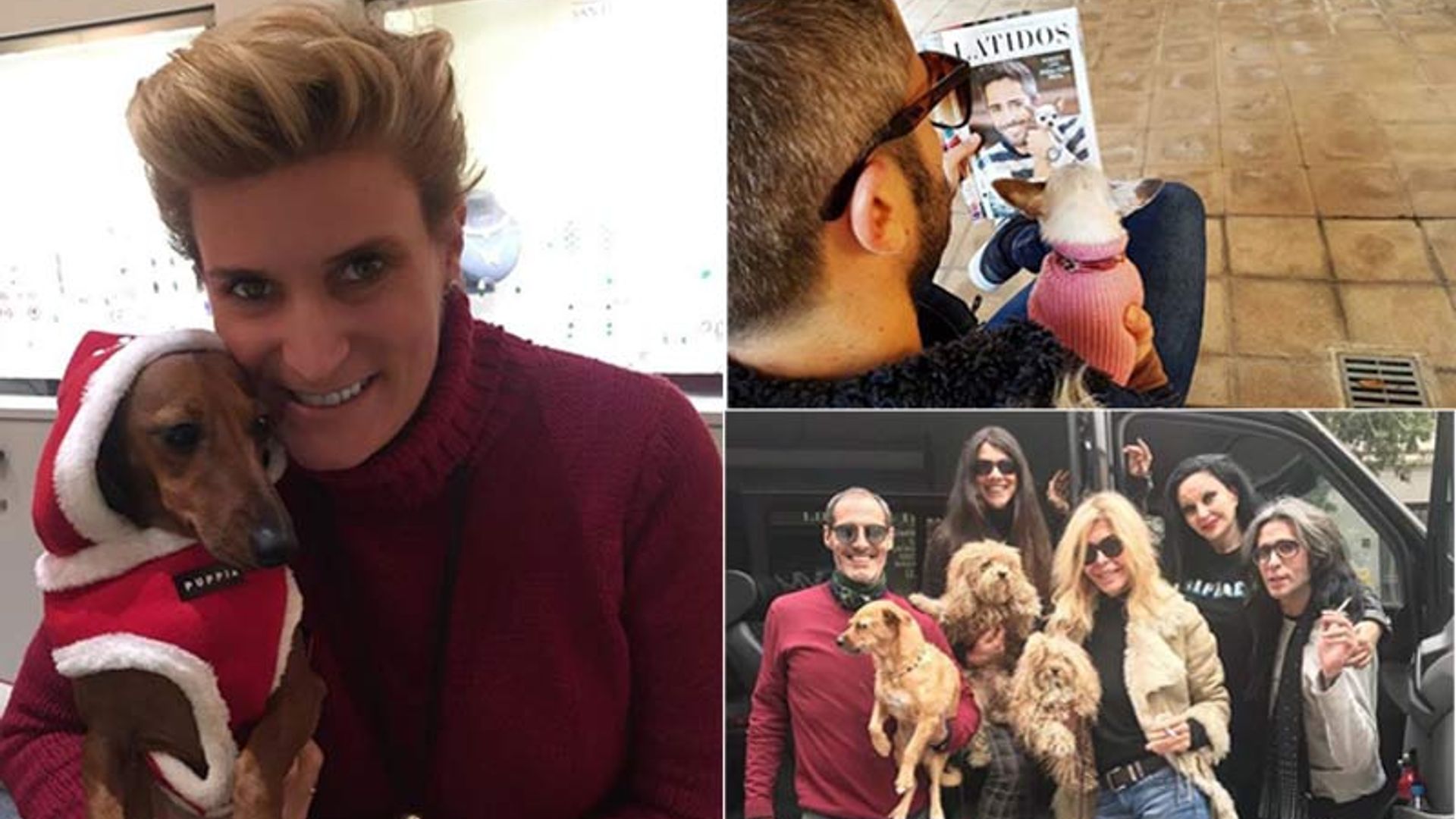 Las mascotas de las 'celebrities', las otras protagonistas de Instagram