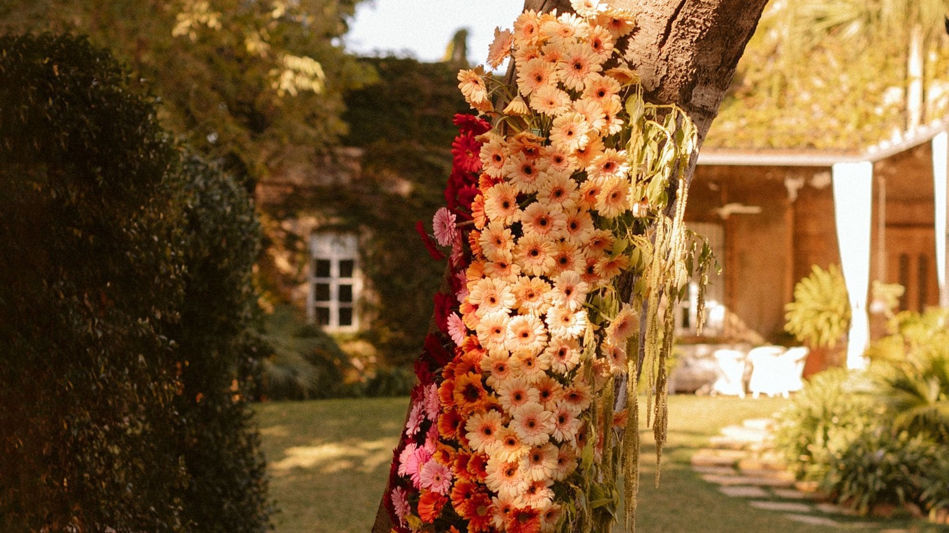 Gerberas, las flores que están arrasando en la decoración de bodas este 2025